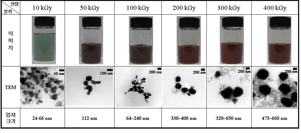 1 MeV 에너지에서 총 흡수선량에 따라 제조된 구리 나노입자의 TEM 이미지