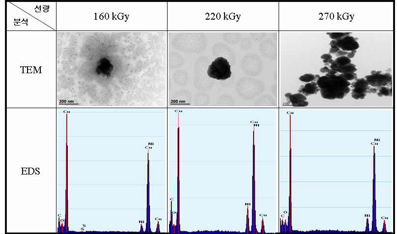 0.2 MeV 에너지에서 총 흡수선량에 따라 제조된 구리 나노입자의 TEM 이미지와 EDS 데이터