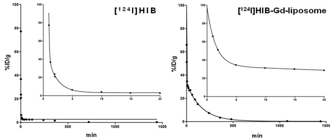 [124I]HIB-Gd-liposome와 [124I]HIB의 Blood half-life