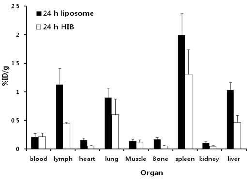 [124I]HIB-Gd-liposome와 [124I]HIB의 Biodistribution study