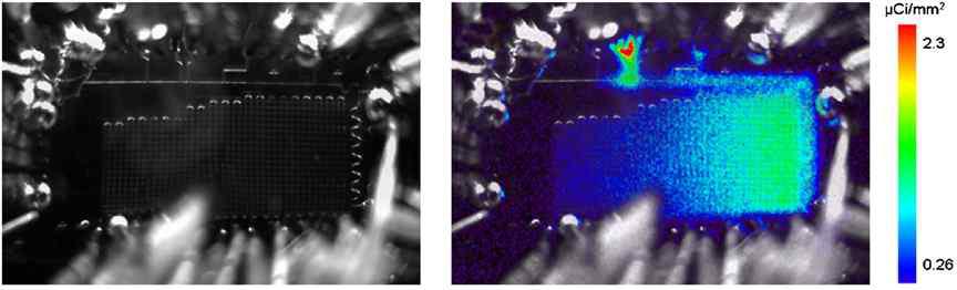 . (a) Room light photograph of a microfluidic chip containing 18F-labeled compound residue in the microfluidic channels with a channel width of 200 μm. (b) Cerenkov signal image of the same microfluidic chip overlaid on the room light photograph (artificially colored).