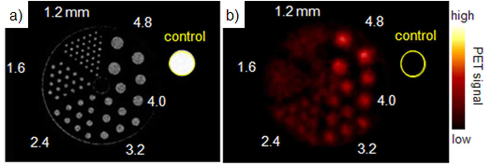Spatial resolution comparison between (a) MRI and (b) PET techniques using Derenzo phantom (circle diameters of 1.2, 1.6, 2.4, 3.2, 4.0, 4.8 mm) which contains contrast agents of 50 g/mL (Mn+Fe) of MnMEIO and 2.5 Ci/mL of 124I (yellow circle: water (control)).