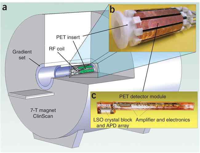 Drawing of PET-MRI combination showing the PET insert placed inside the MRI scanner.