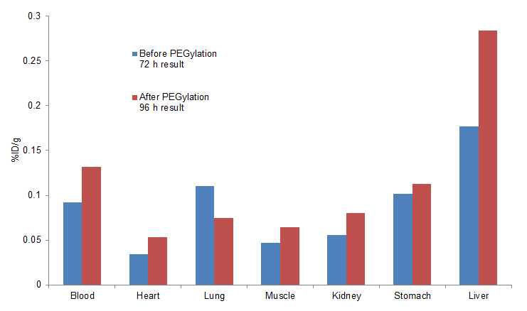 나노입자의 PEGylation 전 72시간 biodistribution 결과와 PEGylation 후96시간 biodstiribution 결과의 비교