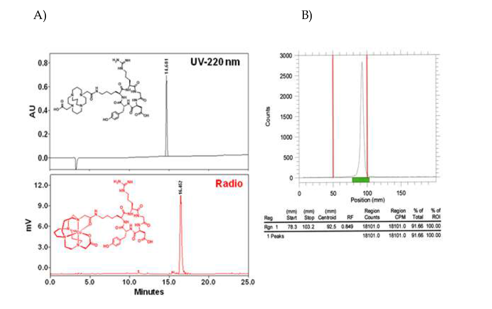(a) Radio-HPLC chromatogram of 64Cu-PCB-TE2A- c(RGDyK) (red, bottom) compared with PCB-TE2A-c(RGDyK) with UV detection at 218 nm (black, top) using analytical HPLC system (b) Radio-TLC of 64Cu-PCB-TE2A-c(RGDyK)