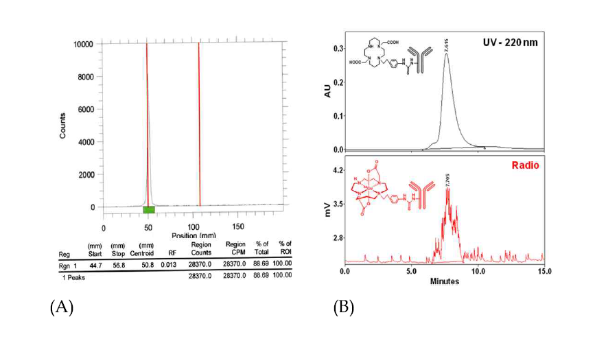 (A) Radio-TLC of 64Cu-TE2A-NCS-trastuzumab after purification (B) Radio‐SE-HPLC chromatogram of 64Cu-TE2A-NCS-trastuzumab (red) compared with TE2A-NCS-trastuzumab with UV detection at 220 nm (black).