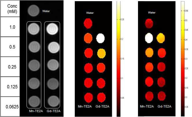 여러 농도의 Mn-TE2A와 Gd-TE2A complex에 대한 Colour Map