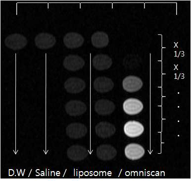 제작되어진 Gd-DTPA encapsulated [124I]HIB-liposome의 contrast를 비교하기 위해 진행되어진 in vitro 실험