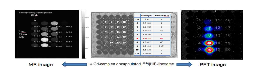 Gd-complex encapsulated [124I]HIB-liposome을 이용한 in vitro test.