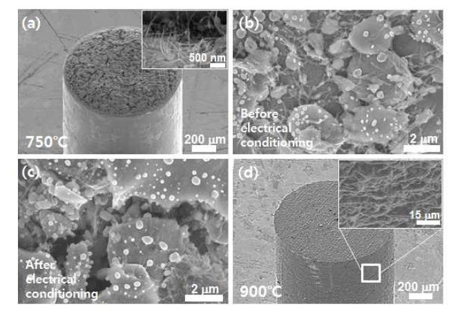 (a) 750℃에서 제작된 CNT 전계방출원 (b) 방전 전 CNT 코팅의 SEM 이미지 (c) 방전 후 CNT 코팅의 SEM 이미지 (d) 900℃에서 제작된 CNT 전계방출원