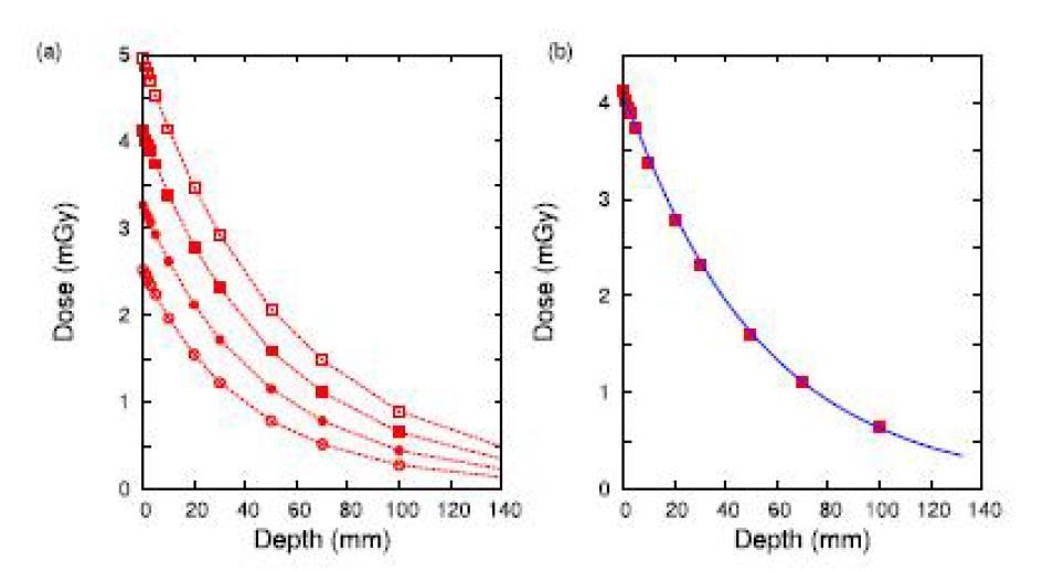 (a) Measured depth–dose curves for the diagnostic radiation with energies of 80 (open circles), 90 (filled circles), 100 (filled boxes) and 110 kVp (open boxes). All measurements were performed with a fixed tube current–-time product of 100 mA s. (b) Calculated depth–-dose curve (solid line) of 100 kVp diagnostic radiation using an RTP system (Eclipse 8.1) that incorporates measured beam data, which agreed well with the corresponding measured beam data (filled boxes).