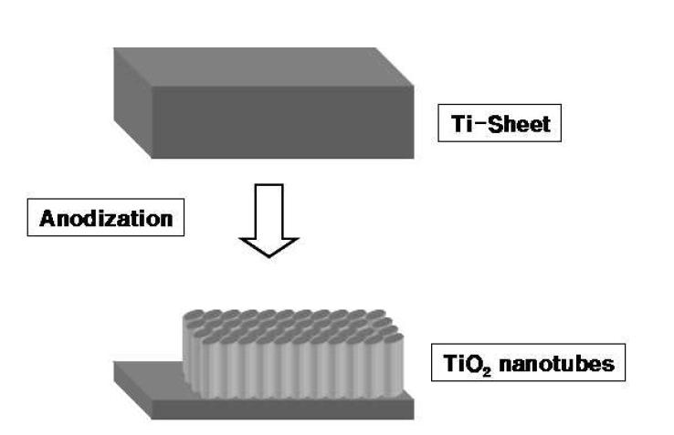 양극산화 방법으로 제조한 티타튬 다이옥사이드 나노튜브 모식도
