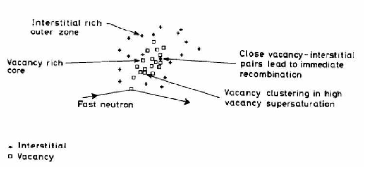 Schematic presentation of point defects in damage cascade formation