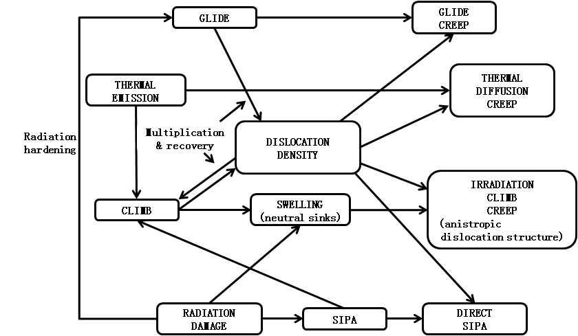 Relation ship between the various dislocation processes and creep mechanisms during irradiation.