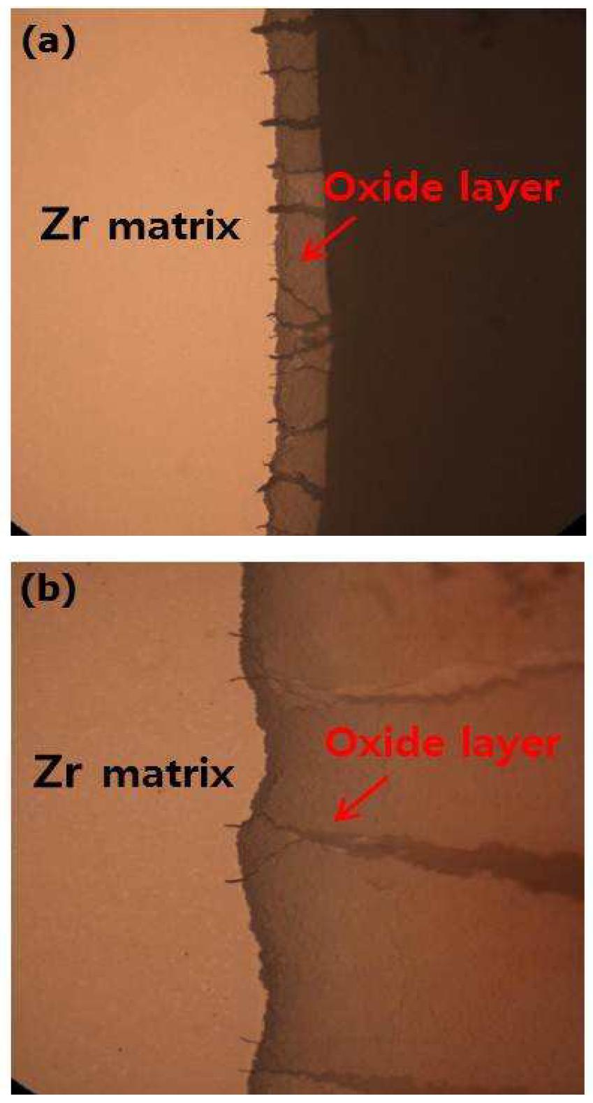 Brittle cracks formed in the oxide and propagated into Zr alloy matrix at the compressive displacement of 5 mm (a) oxidized at 700℃ for 3hrs, (b) oxidized at 700℃ for 24 hrs.