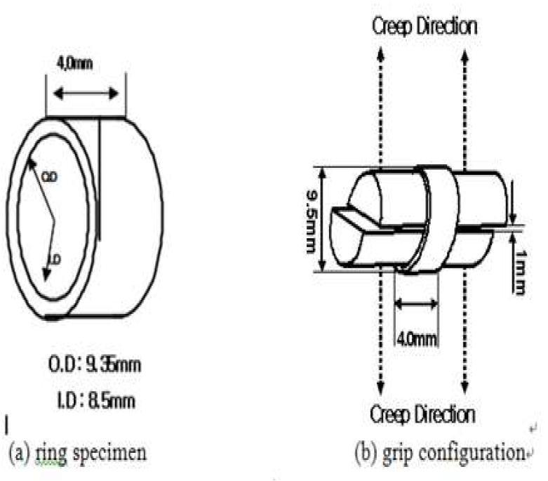 Schematic configuration of (a) ring specimen and (b) creep grip for creep test