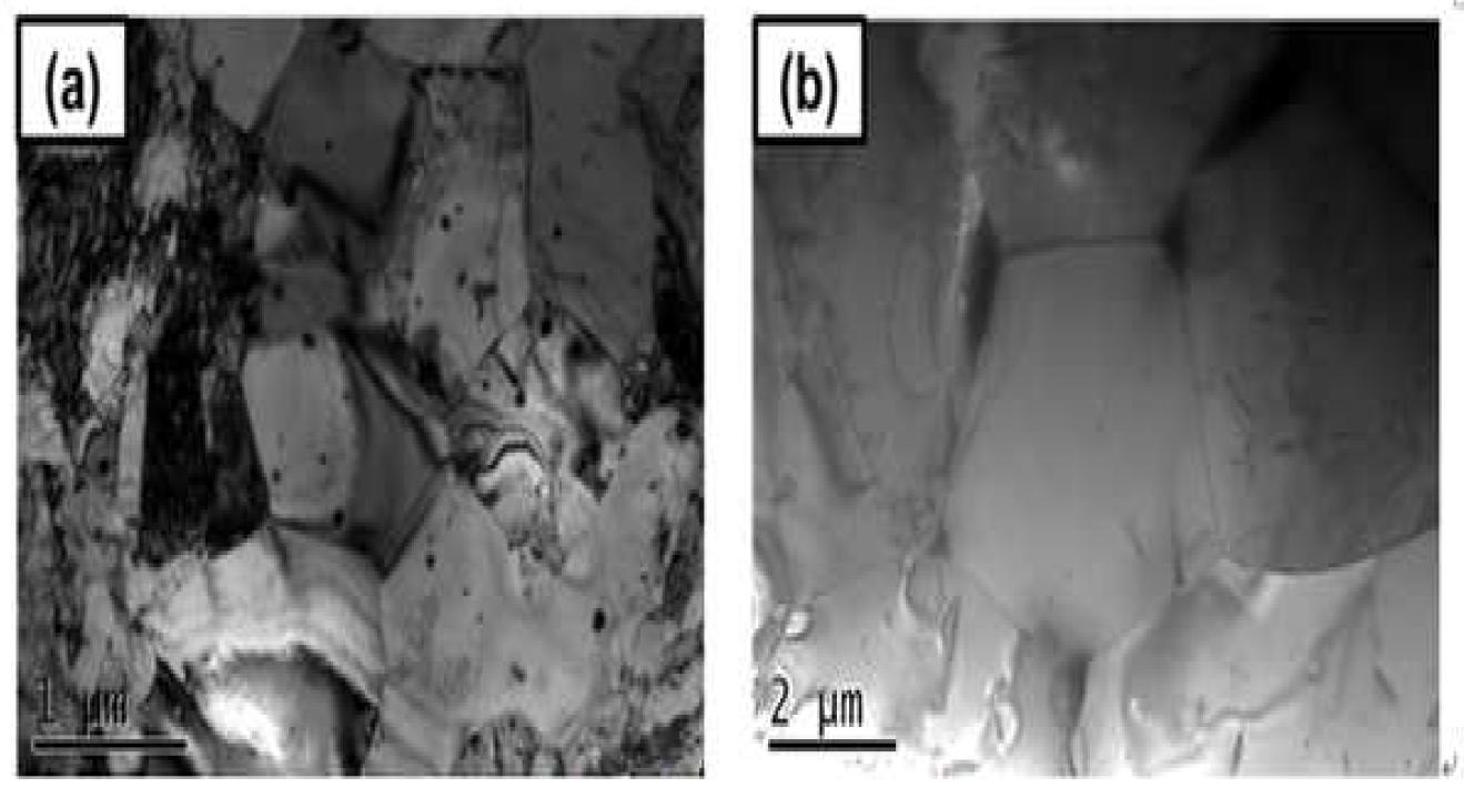 TEM microstructure of the stress relieved Zr-1Nb-0.7Sn-0.1Fe (a) and annealed Zr-1Nb-0.7Sn-0.1Fe (b)