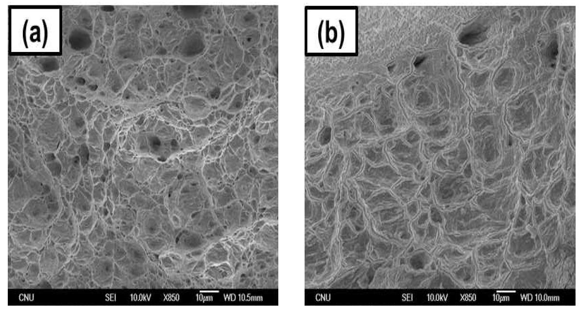 SEM fracture surface images of Zr-1Nb-0.7Sn-0.1Fe at 120MPa and 475 °C: (a) as-received Zr alloy and (b) annealed Zr alloy.