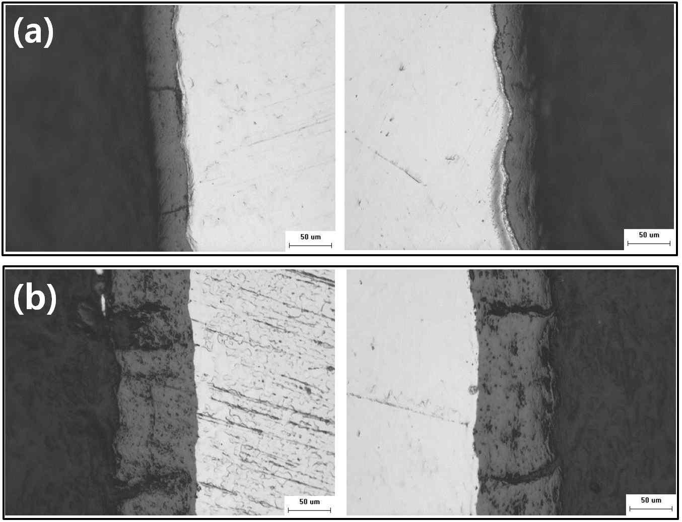 산화막을 갖는 판재시편의 조사후 미세구조. (a) 50µm산화막 (b) 100µm산화막