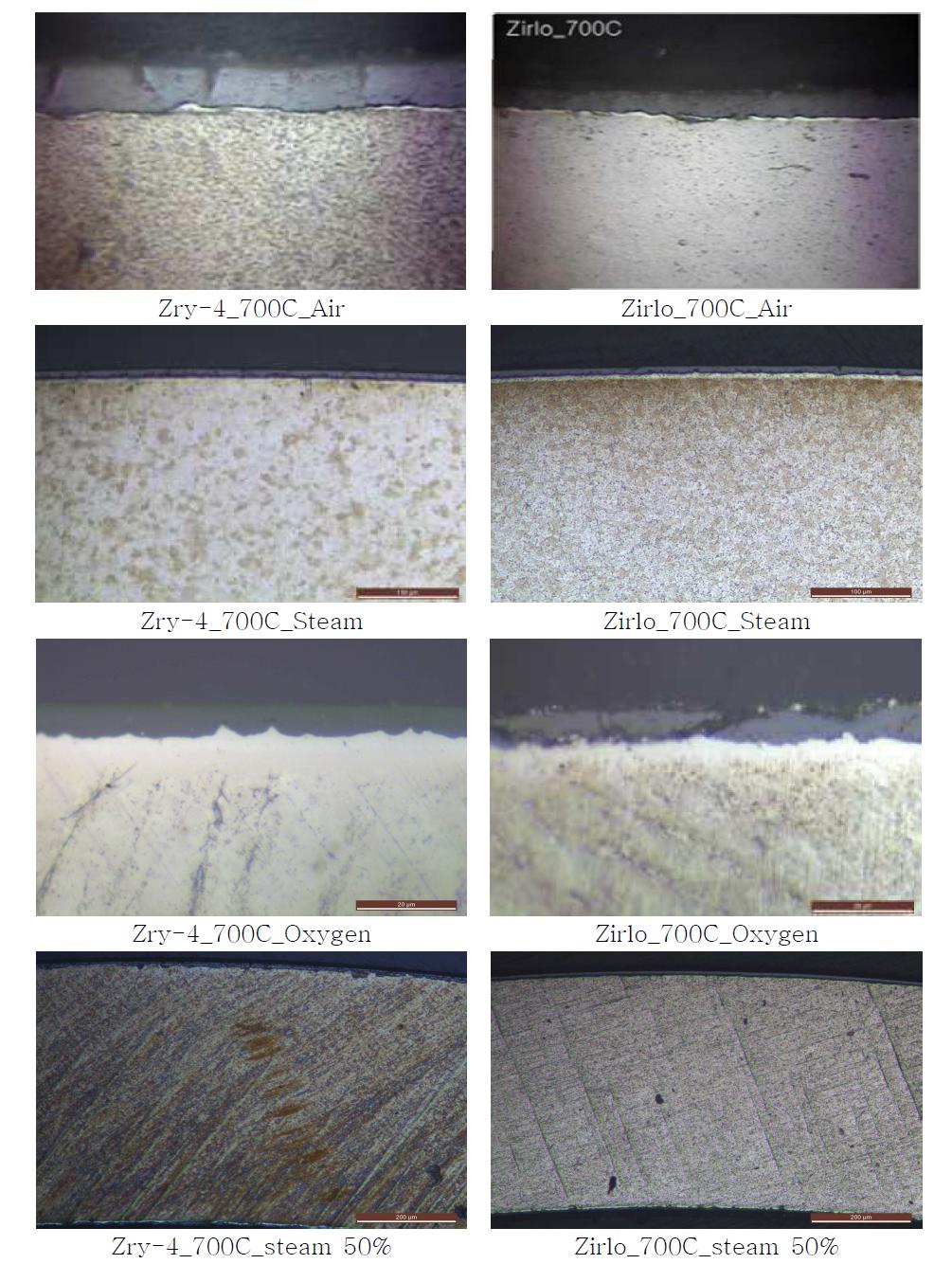 700℃에서 주변기체별 산화된 시편의 OM 사진
