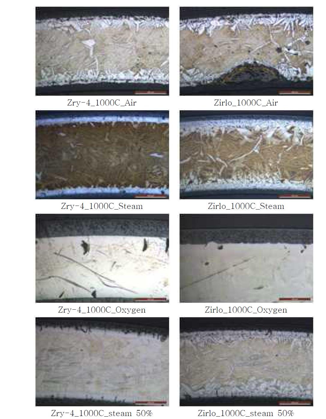1000℃에서 주변기체별 산화된 시편의 OM 사진