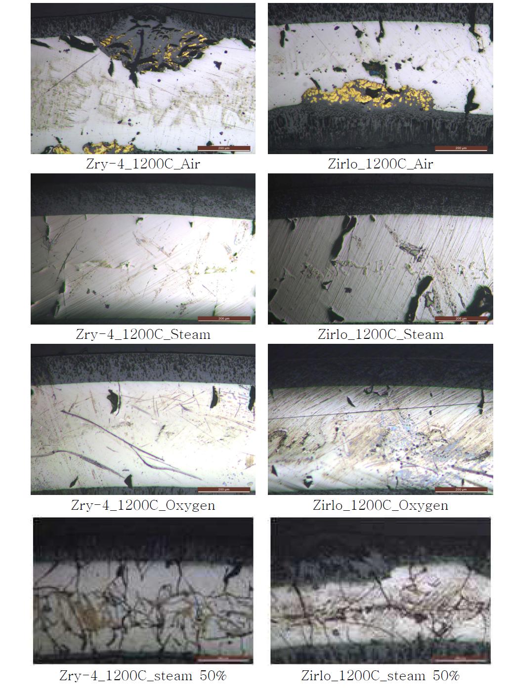 1200℃에서 주변기체별 산화된 시편의 OM 사진
