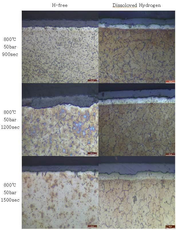 800℃, 50bar에서 산화된 일반 및 수소장입 피복관의 미세구조 비교.