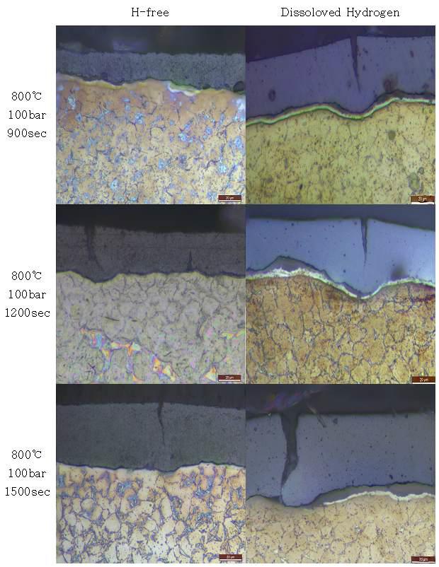 800℃ 100bar에서 산화된 일반 및 수소장입 피복관의 미세구조 비교.