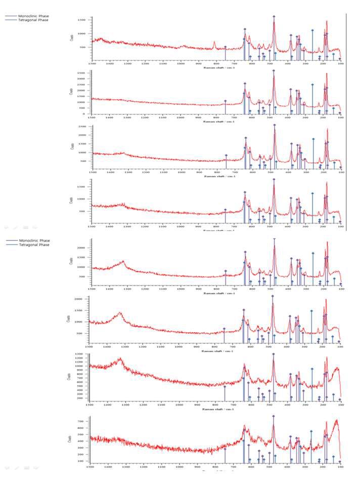 800℃ 75bar 1200sec 수소 장입 피복관시편의 산화막 Raman spectrum