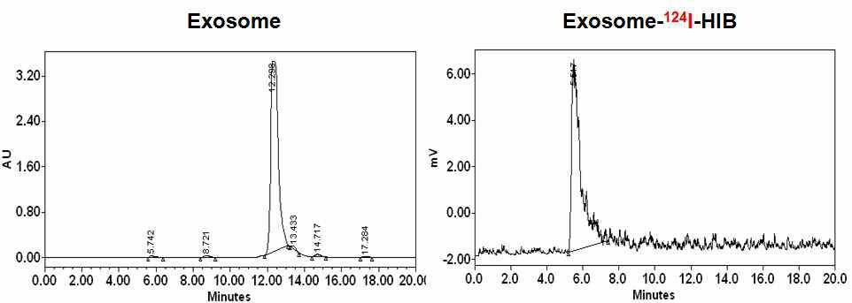 Exosome 과 Exosome-[124I]HIB에 대한 UV-HPLC/ Radio-HPLCchromatogram