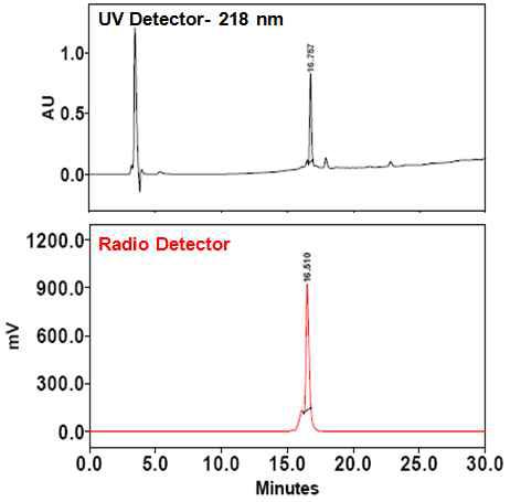 HPLC 측정 결과