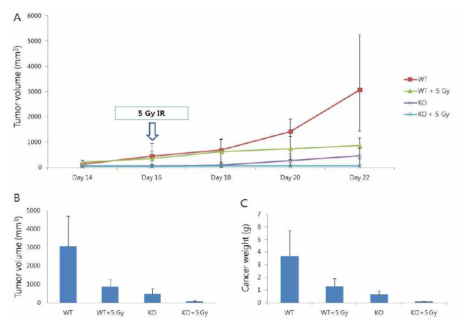 Growth curve of average melanoma size each group.