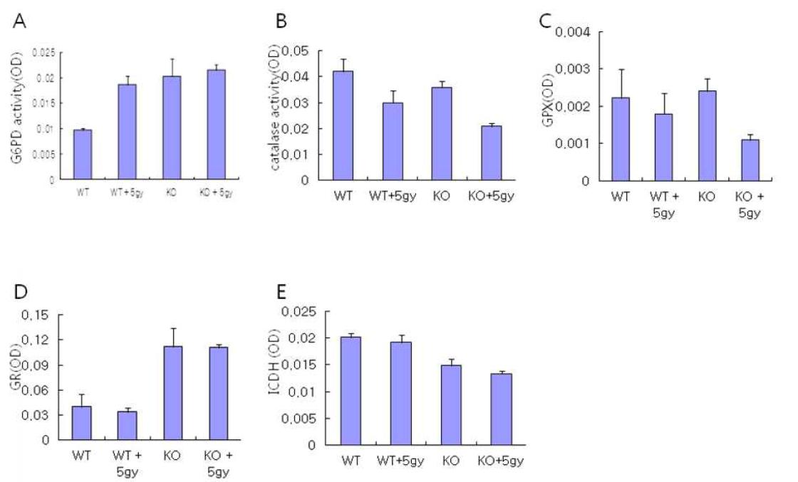 Measurement of antioxidant acitivity.