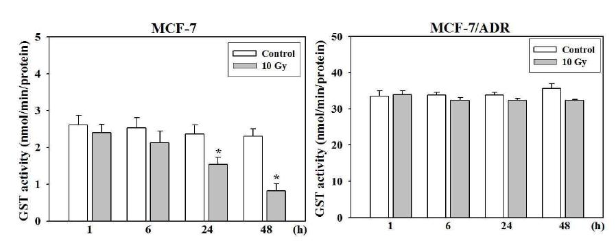 GST activity in MCF-7/ADR cells compared to MCF-7 cells.