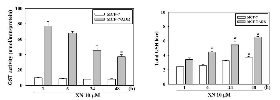 Effect of xanthohumol on the GST activity and total GSH level in MCF-7 and MCF-7/ADR cells.