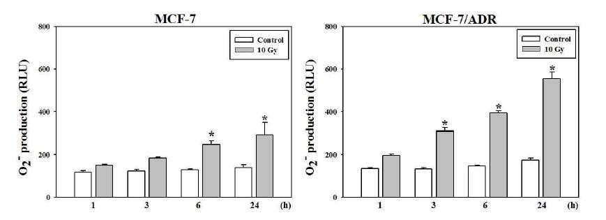 Measurement of ROS production in radiation-induced MCF-7 and MCF-7/ADR cells