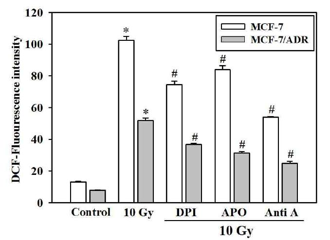 Inhibitory effects of DPI, Anti A on radiation-induced ROS production in MCF-7 and MCF-7/ADR cells.