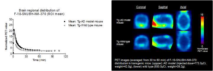 AD모델 형질전환(APPswe/PS1△E9)과 wild type 마우스에서 SNUBH-NM-350 뇌 PET 영상 (30-60 min sum)