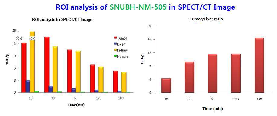 SNUBH-NM-505의 종양모델에서 시간별 방사능농도 분포도(SPECT 영상분석)와 종양/간 섭취율