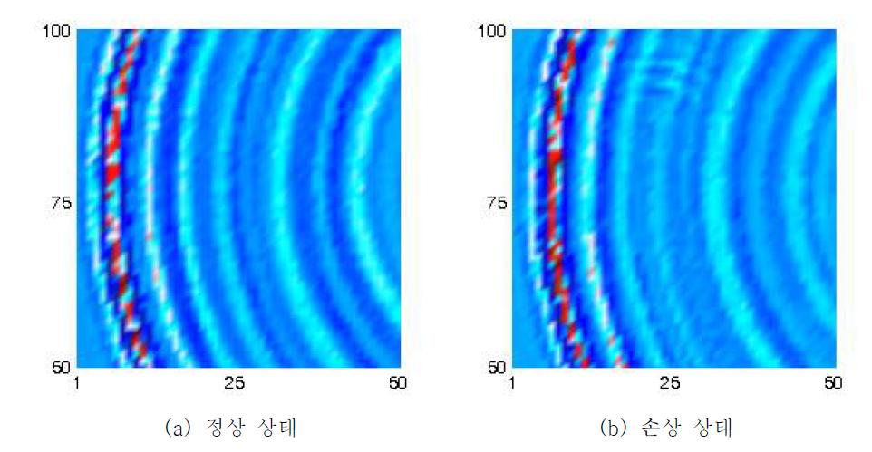 Wavenumber filtering 전 초음파 전파 영상 (영상 획득 시간 46s)