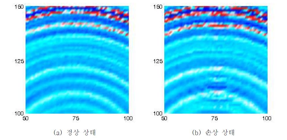 Wavenumber filtering 전 초음파 전파 영상 (영상 획득 시간 48s)