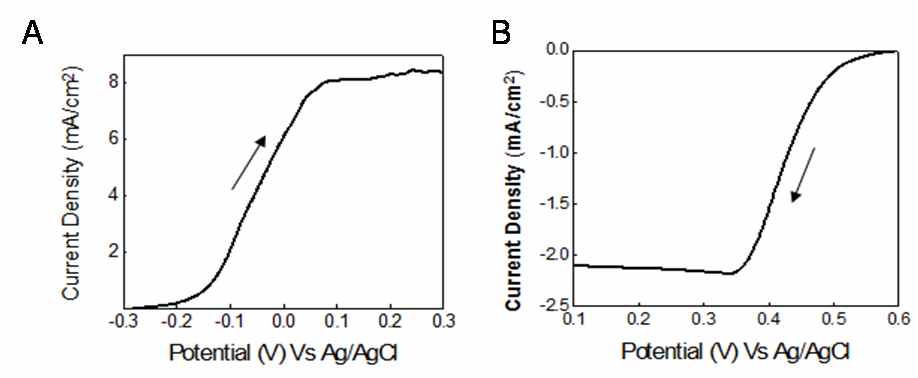 그림 10. 제조된 바이오 연료전지의 산화전극(A)과 환원전극(B)의 폐회로 전류밀도 측정값.