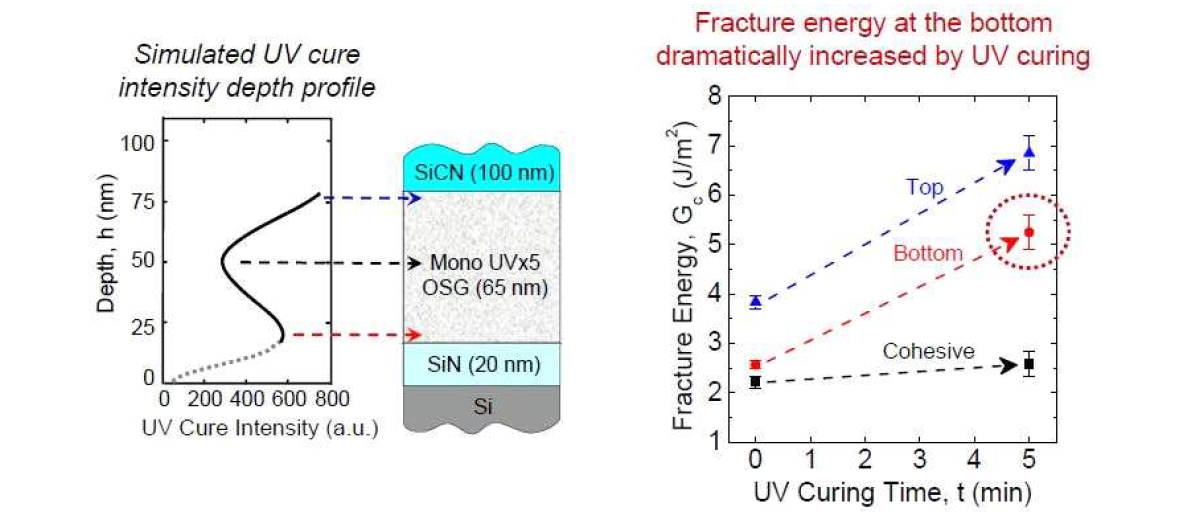 (왼쪽) Depth profile에 따른 UV cure intensity. (오른쪽) 바닥에서의 Fracture energy