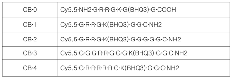 B 단백질 분해효소 활성 측정용 센서 sequence