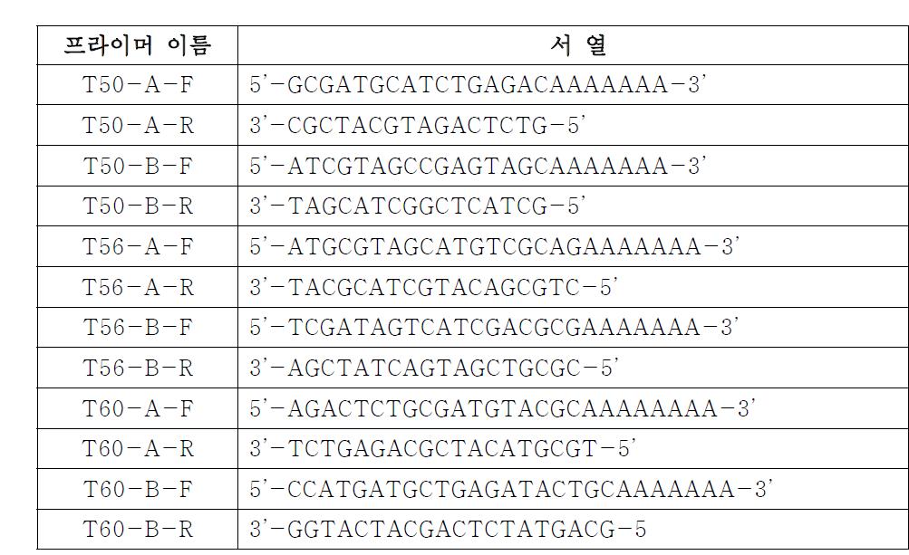 Self-addressable DNA 칩 제작을 위하여 서로 상보적인 6쌍의 DNA