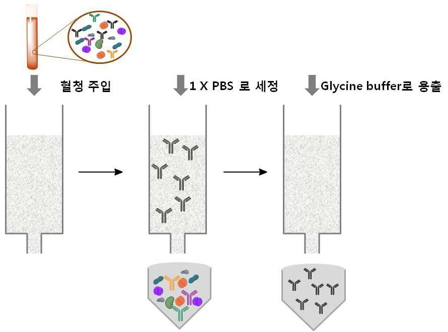 Affinity 칼럼의 준비