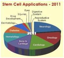 줄기세포치료제 응용분야 현황