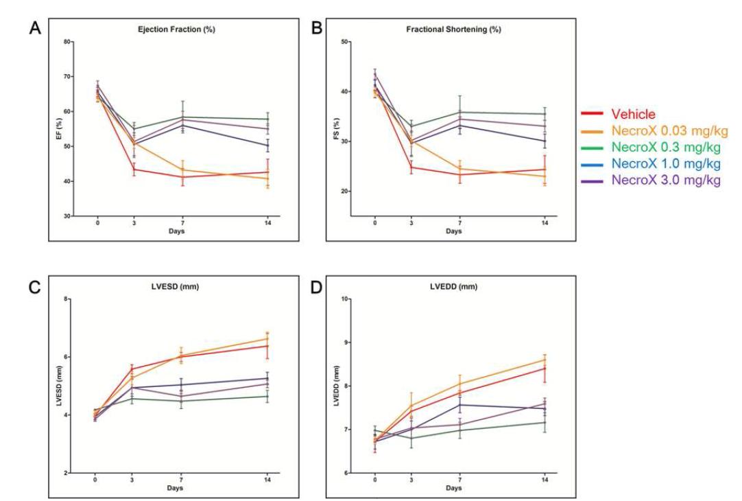 NecroX 용량에 따른 심근경색 후 좌심실구혈율 (A), 좌심실단축율 (B), 좌심실 수축기말 직경 (C) 및 좌심실 이완기말 직경 (D)의 변화