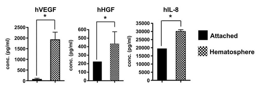 일반 부착배양과 삼차원 혈구세포괴 배양과의 cytokine 비교