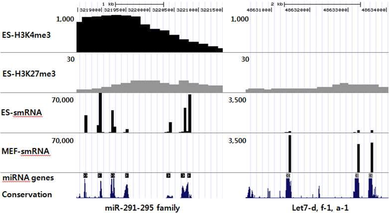 UCSC genome brow ser 를 통한 smal l RN A 의 발현 패턴, 위치 및 히스톤 변형과의 비교.